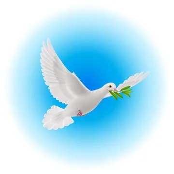 Dove of peace Illustrazione stock