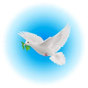 Dove of peace Stock Illustration