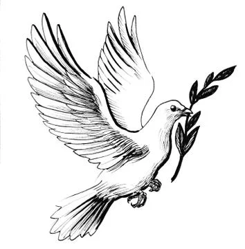 Dove of peace Illustrazione stock