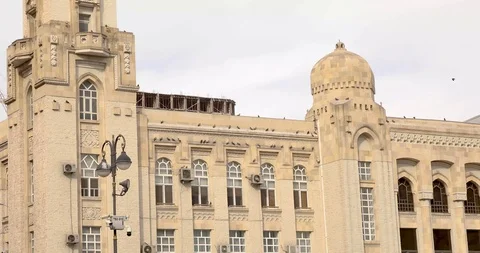 Dove, pigeon on the building Stock Footage 124408828
