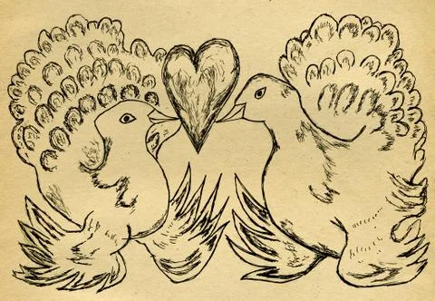 Dove Sketch Stock Illustration