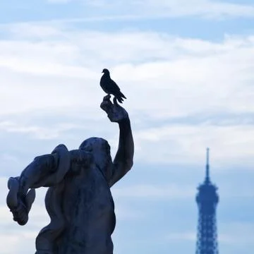 Dove, statue and eiffel tower in paris Stock Photos