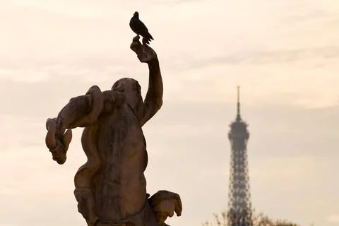 Dove, statue and Eiffel Tower in Paris dove, antique statue in Tuileries g... Stock-Fotos