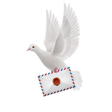 Dove white Stock Illustration