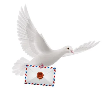 Dove white Illustrazione stock