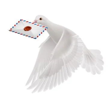Dove white Illustrazione stock