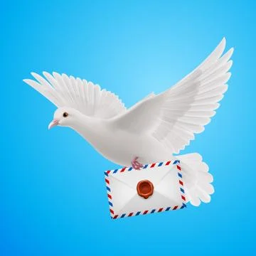 Dove white Illustrazione stock