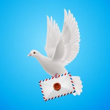 Dove white Stock Illustration