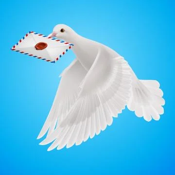 Dove white Stock Illustration