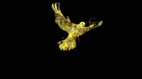 Dove2 RGB Alpha Stock Footage 234118802