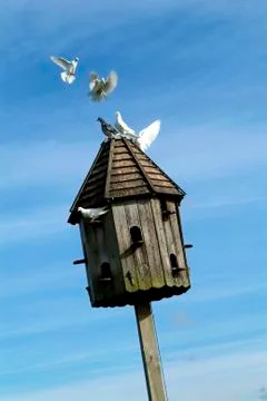 Dovecot Stock Photos