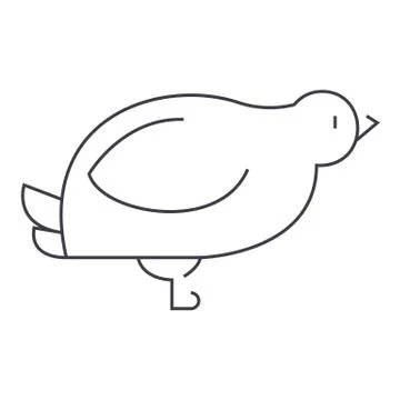 Dove,quail vector line icon, sign, illustration on background, editable strok Stock Illustration