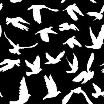 Doves and pigeons seamless pattern black and white for peace concept and wedd Stock Illustration