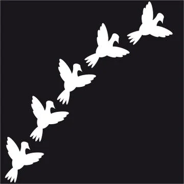 Doves on black background Stock Illustration