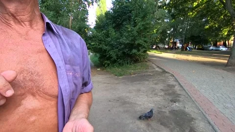 Doves in the city park. Video stock 141127356