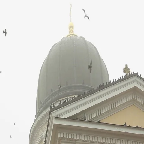 Doves fly and sit on orthodox church facade at foggy town square, odessa, ua 스톡 동영상 69483607