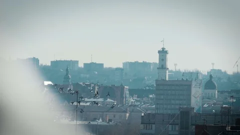 Doves fly over city Видео 73240223