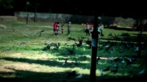 Doves hovering 動画素材 29158708