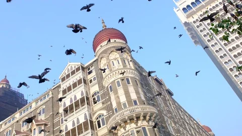 Doves pigeons flying in front of Taj Mahal Palace Hotel in Mumbai, India. Stock Footage 130127175