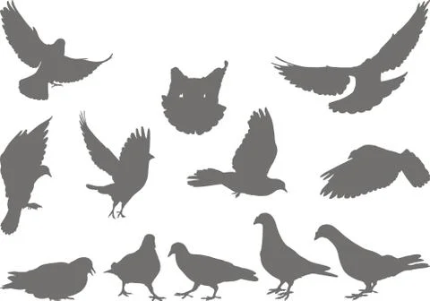 Doves  silhouettes bird Stock Illustration
