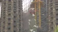 Doves on a tree on the facade of Sagrada Familia, Barcelona 4k or 4k+ Resolution