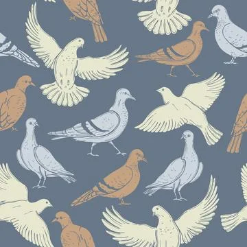 Doves.  Vector   pattern Stock Illustration