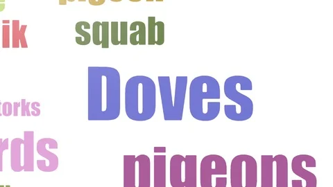 Doves Wordcloud Animated On White Background Stock Footage 107217467