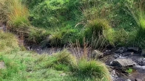 Dovestone Reservoir Small  Waterfall Stock Footage 253391251