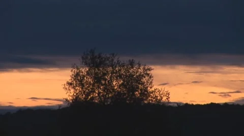 Down 1 Stock Footage 8156149