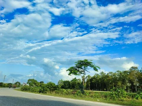 Down angle view with blue sky in Asia.Beauty natural scenery. Foto stock