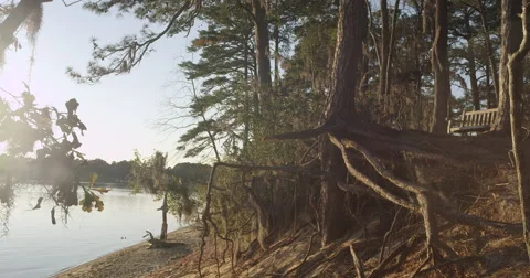 Down By The Bay Stock Footage 44149796