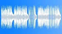 Down On The Bayou Blues (Acoustic n Bass) Stock Music
