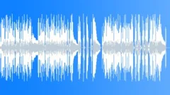 Down On The Bayou Blues (Bed2 AcousticGuitar) Stock Music