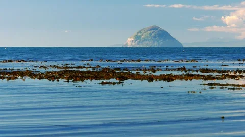 Down by the Blue Sea Ailsa Craig Scotland Stockbeeldmateriaal 98256855