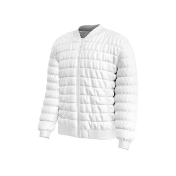 A Down Bomber Jacket image isolated on a white background Stock Illustration