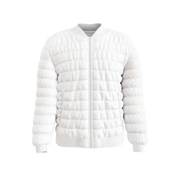 A Down Bomber Jacket image isolated on a white background Stock Illustration