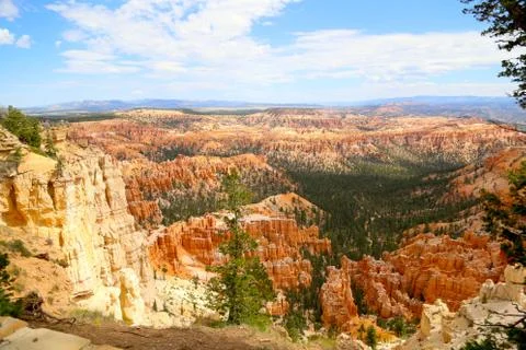 Down the Canyon Foto stock