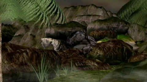 Down Cave Stock Footage 671644