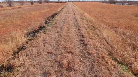 Down dirt road Stock Footage 98799044