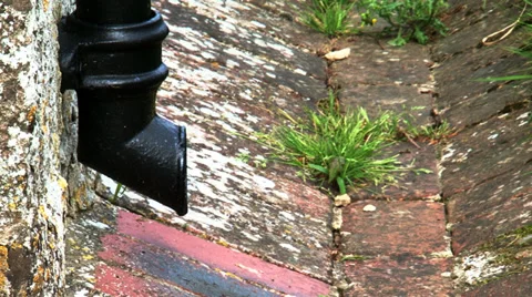 Down the drain Stock Footage 37555996