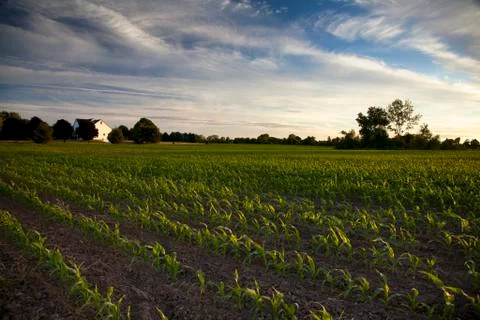 Down on the Farm Stock Photos