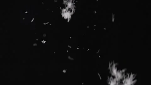 Down feather falling on black background 스톡 동영상 326836849