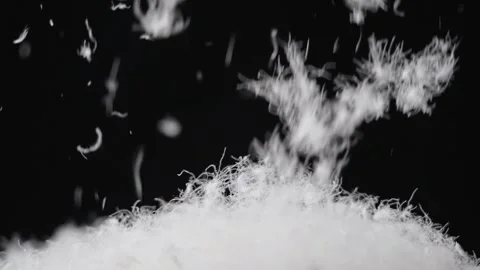 Down feather falling on black background 스톡 동영상 326837087