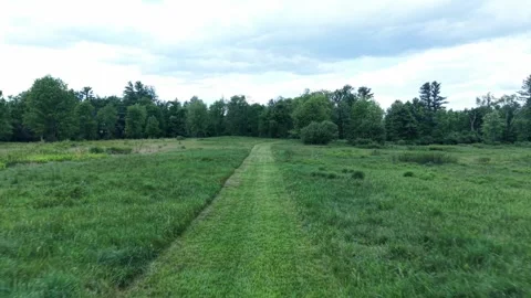 Down the field path 5-27-26 Stock Footage 336762550