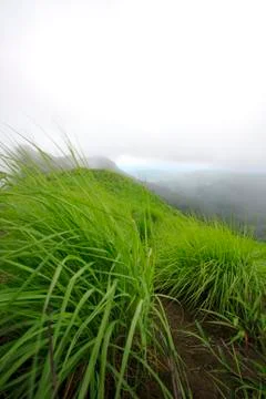 Down from hill Stock Photos