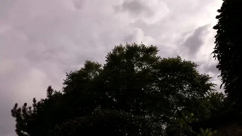 Up-down-left-right Stock Footage 97148479