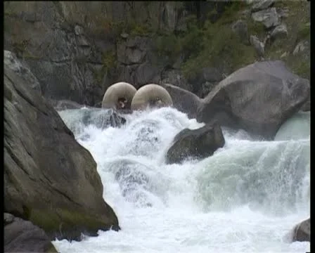 Down the mountain river Stockbeeldmateriaal 11951912