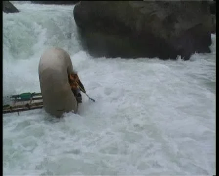 Down the mountain river 動画素材 11951950