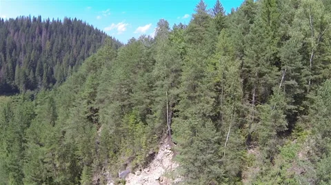 Down  over trees in mountain wood .Aerial   lateral flight Stock Footage 43099779