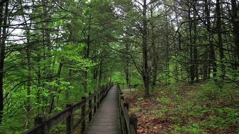 Down the path and trail Stock Footage 241257630
